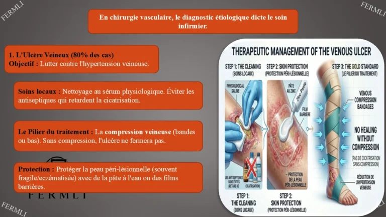 Diapositive11