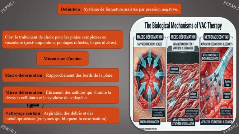 Diapositive16